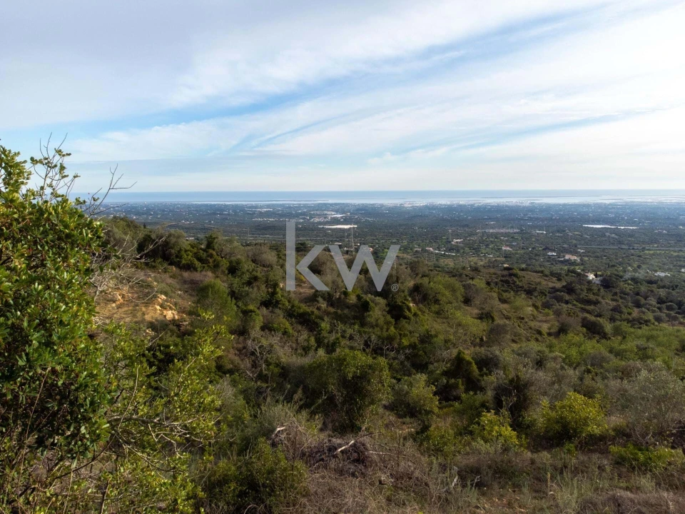 Terreno para Venda em Santa Barbara de Nexe Foto 10