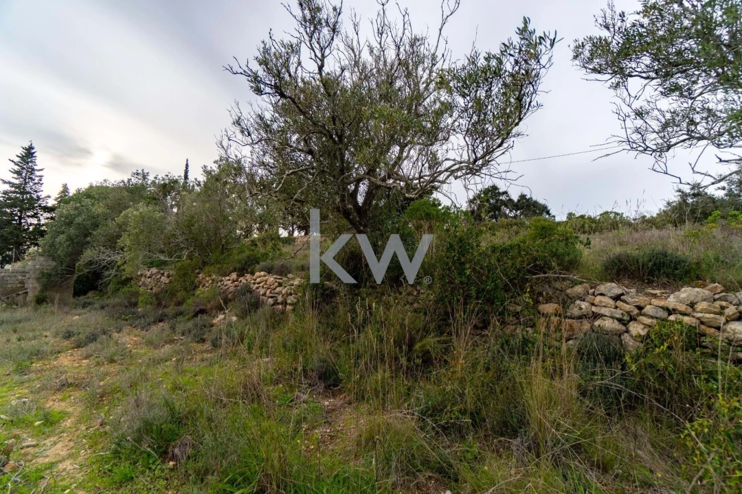 Terreno para Venda em Santa Barbara de Nexe Foto 23