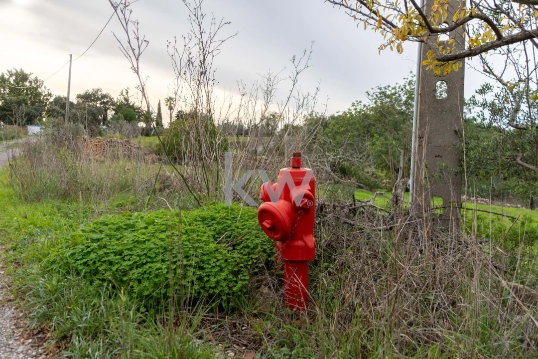 Terreno para Venda em Santa Barbara de Nexe Foto 12
