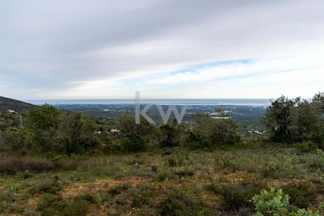Terreno para Venda em Santa Barbara de Nexe Foto 19