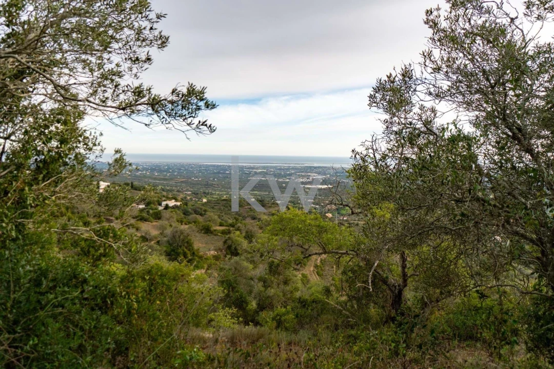 Terreno para Venda em Santa Barbara de Nexe Foto 32