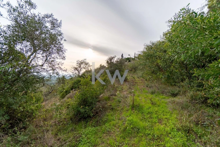 Terreno para Venda em Santa Barbara de Nexe Foto 31