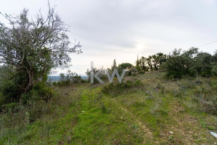 Terreno para Venda em Santa Barbara de Nexe Foto 15