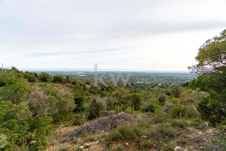 Terreno para Venda em Santa Barbara de Nexe Foto 36