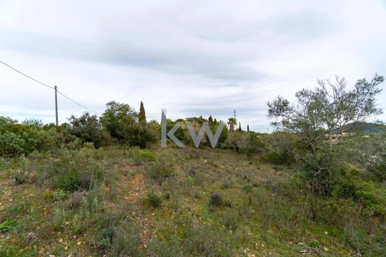 Terreno para Venda em Santa Barbara de Nexe Foto 21