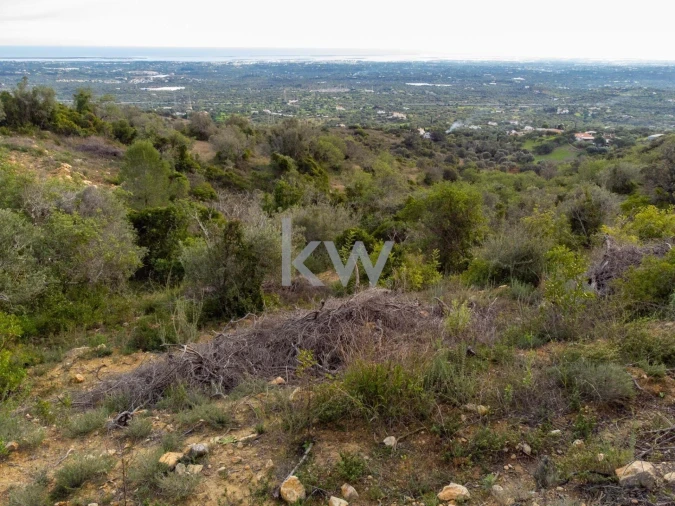 Terreno para Venda em Santa Barbara de Nexe Foto 1