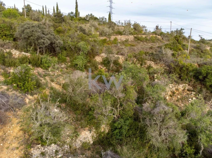 Terreno para Venda em Santa Barbara de Nexe Foto 3