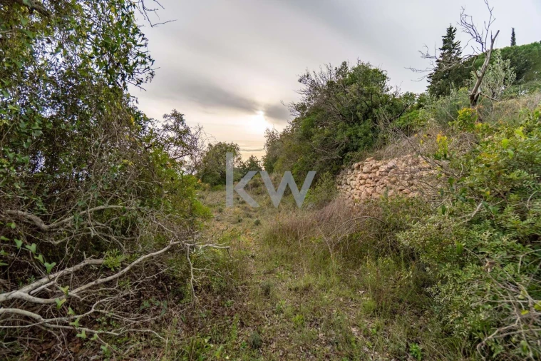 Terreno para Venda em Santa Barbara de Nexe Foto 30