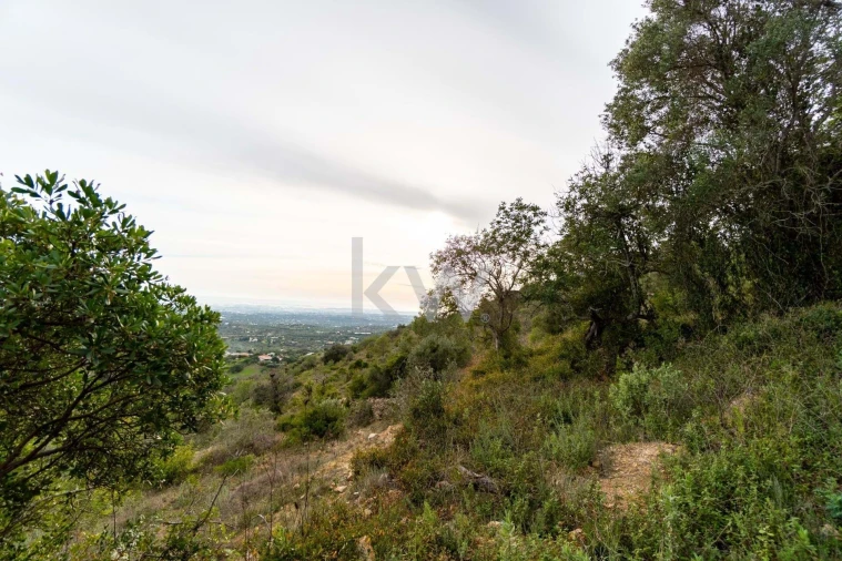 Terreno para Venda em Santa Barbara de Nexe Foto 35