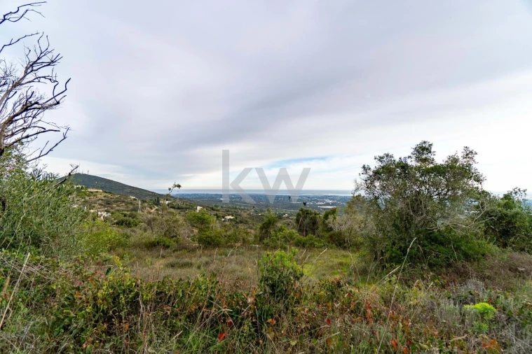 Terreno para Venda em Santa Barbara de Nexe Foto 24