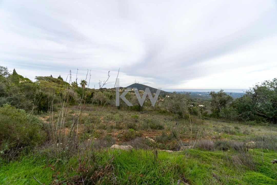Terreno para Venda em Santa Barbara de Nexe Foto 17