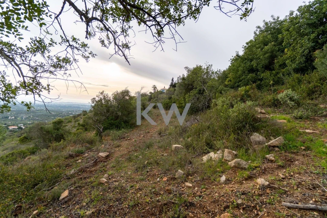 Terreno para Venda em Santa Barbara de Nexe Foto 34