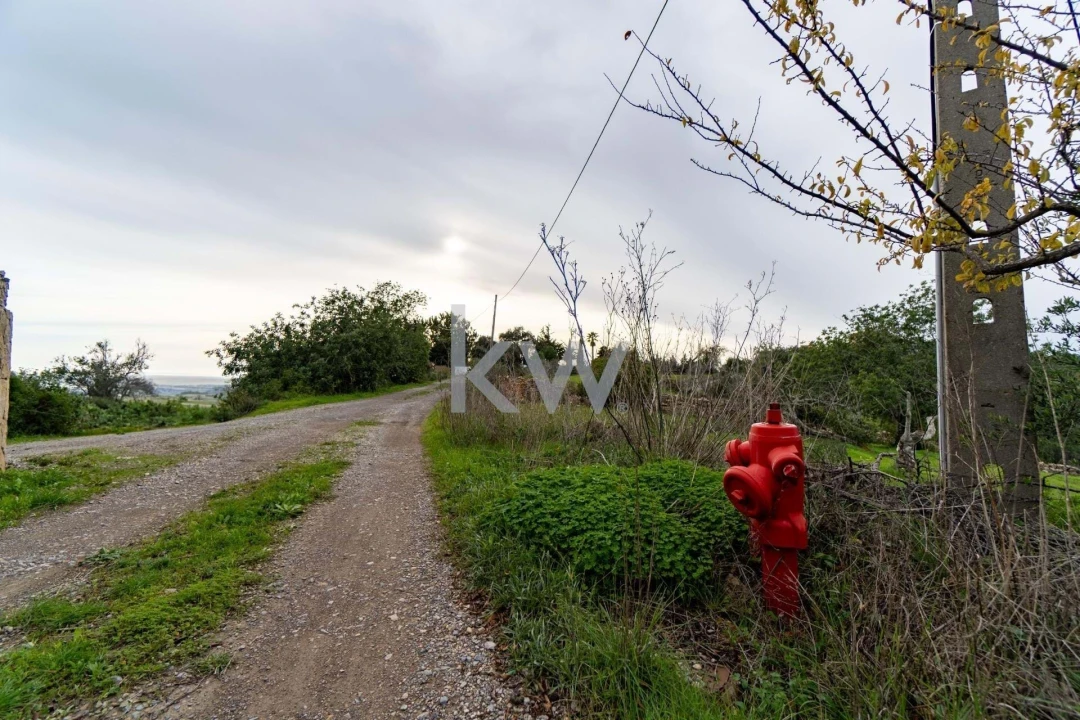 Terreno para Venda em Santa Barbara de Nexe Foto 13