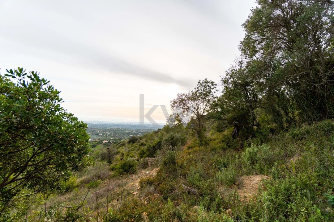 Terreno para Venda em Santa Barbara de Nexe Foto 35