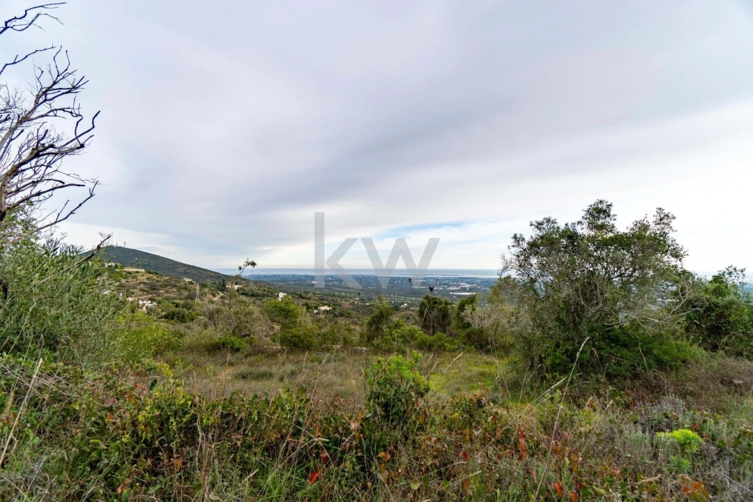 Terreno para Venda em Santa Barbara de Nexe Foto 24