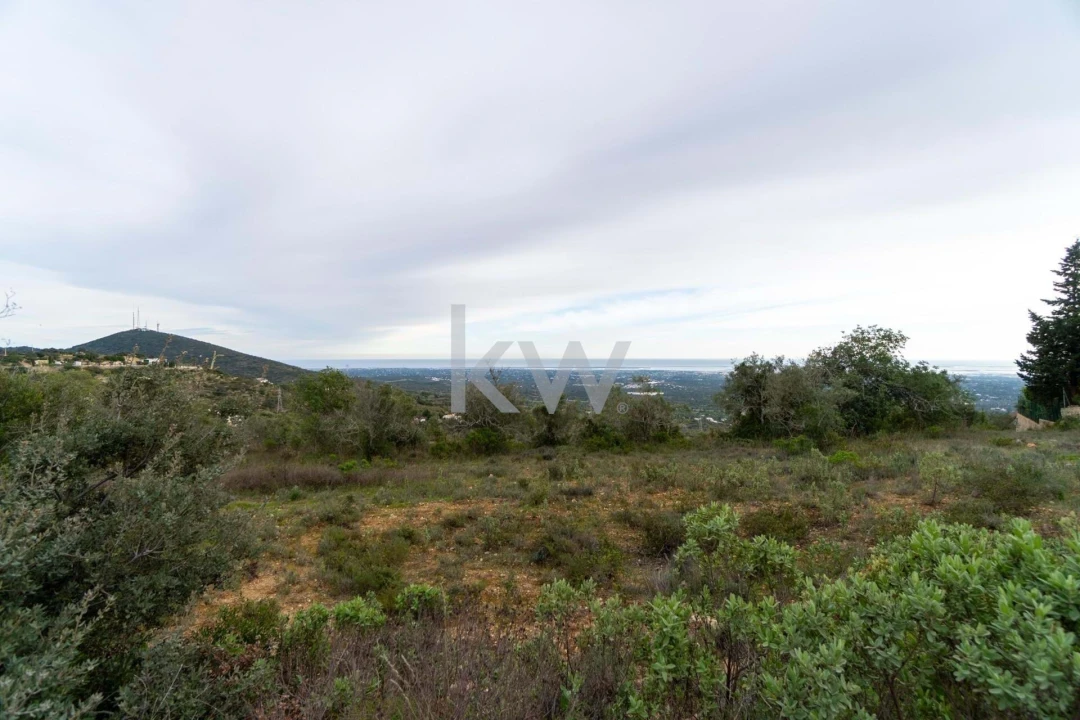 Terreno para Venda em Santa Barbara de Nexe Foto 18