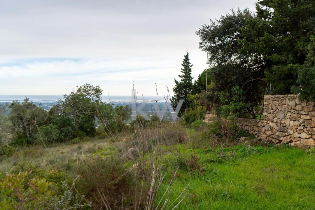 Terreno para Venda em Santa Barbara de Nexe Foto 20