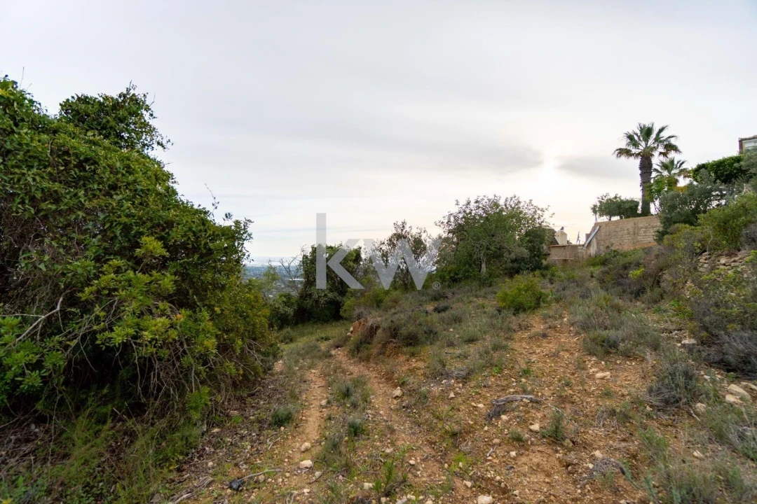 Terreno para Venda em Santa Barbara de Nexe Foto 26