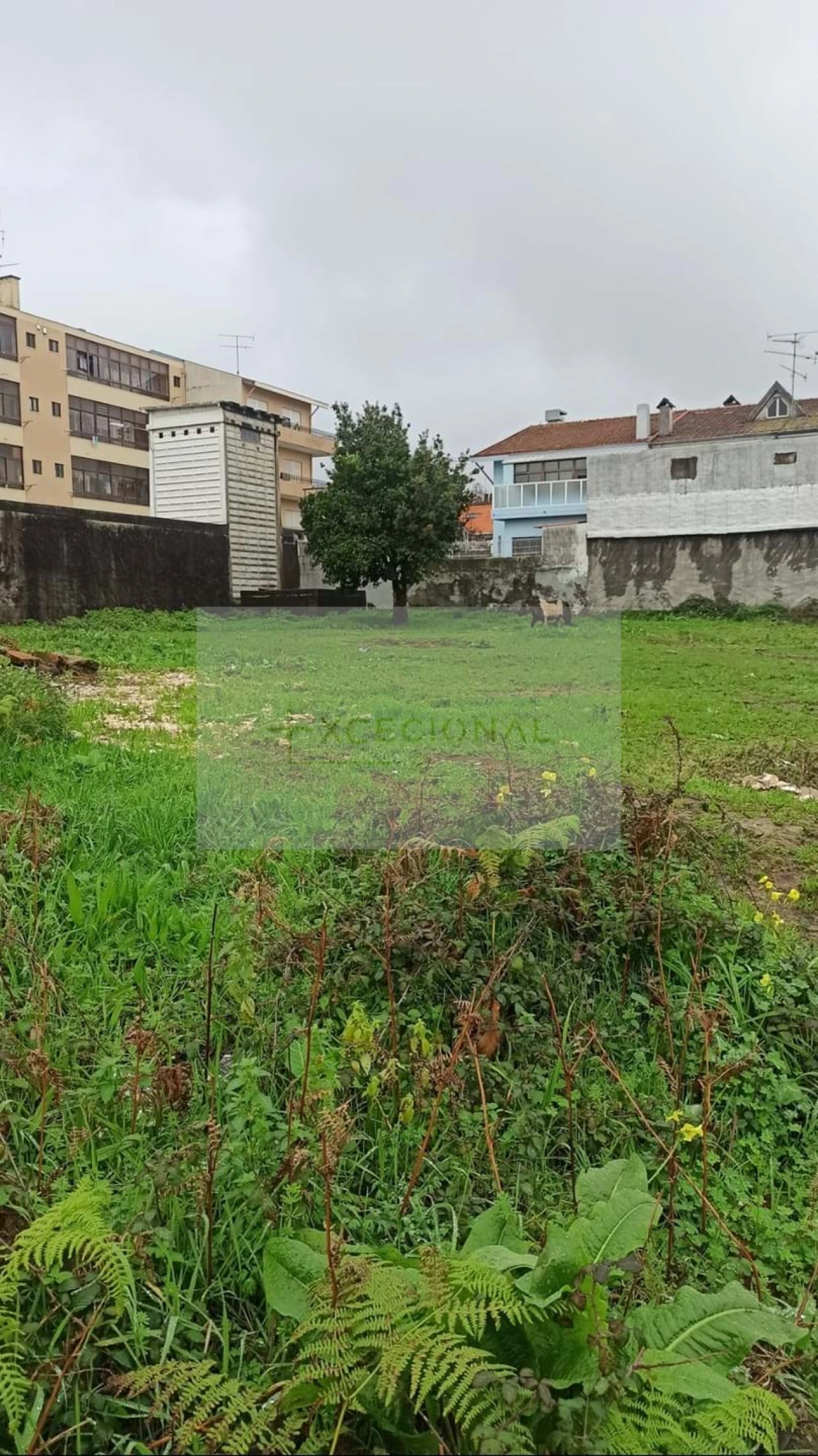 Terreno para Venda em Ermesinde Foto 12