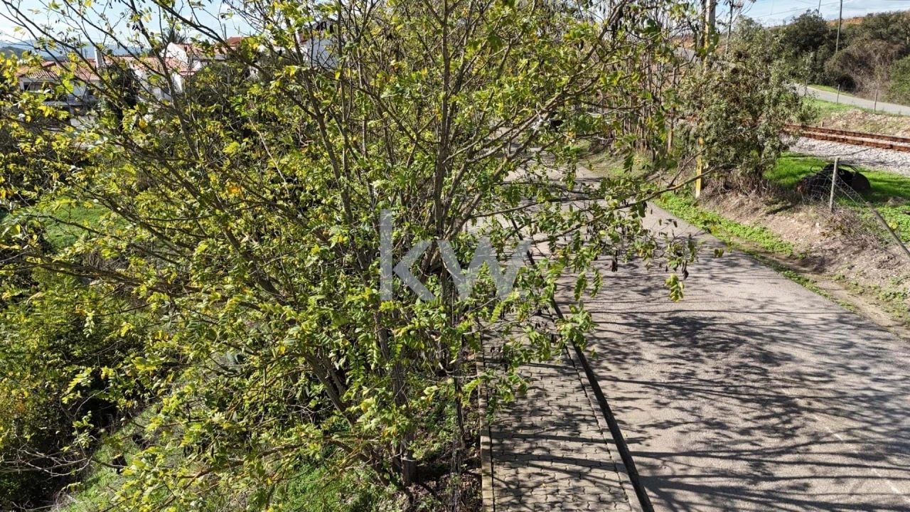 Terreno para Venda em Santa Clara-A-Velha Foto 6