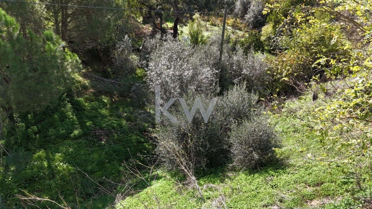 Terreno para Venda em Santa Clara-A-Velha Foto 7