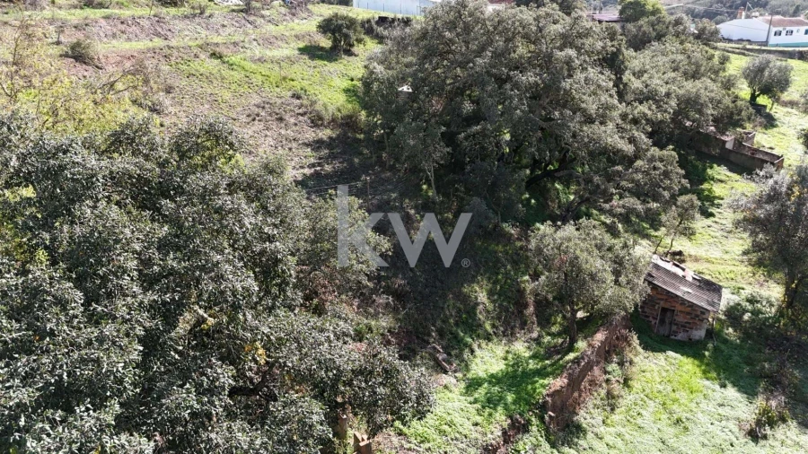 Terreno para Venda em Santa Clara-A-Velha Foto 10