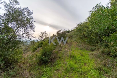 Terreno para Venda em Santa Barbara de Nexe