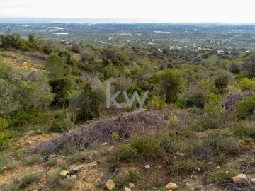 Terreno para Venda em Santa Barbara de Nexe
