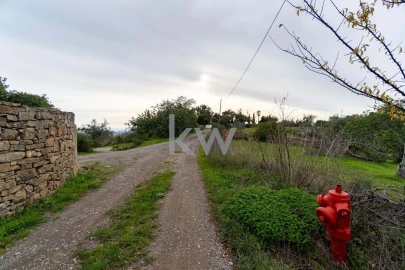 Terreno para Venda em Santa Barbara de Nexe