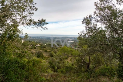 Terreno para Venda em Santa Barbara de Nexe