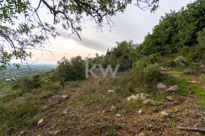 Terreno para Venda em Santa Barbara de Nexe