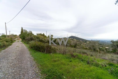 Terreno para Venda em Santa Barbara de Nexe