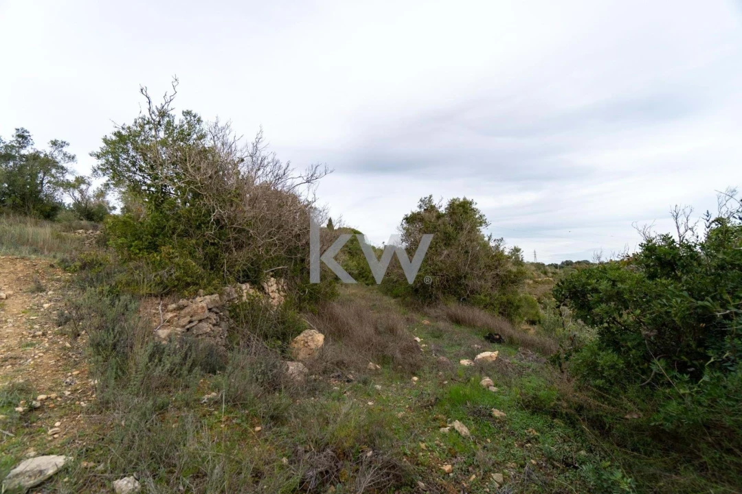 Terreno para Venda em Santa Barbara de Nexe Foto 27