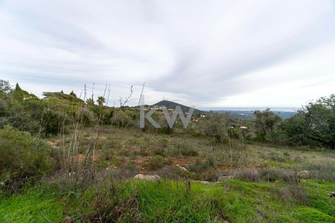 Terreno para Venda em Santa Barbara de Nexe Foto 17
