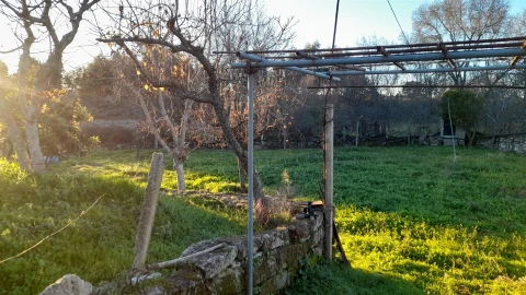 Quinta T0 para Venda em Escalos de Baixo e Mata