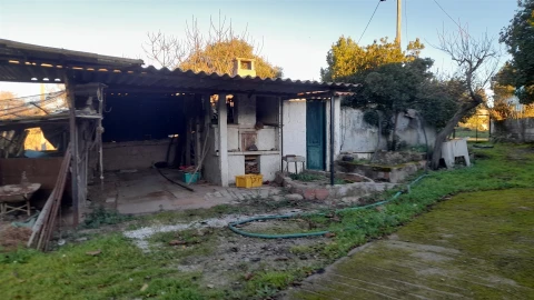 Quinta T0 para Venda em Escalos de Baixo e Mata