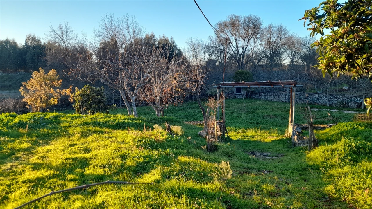 Quinta T0 para Venda em Escalos de Baixo e Mata Foto 6