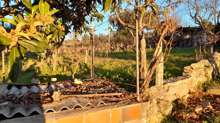 Quinta T0 para Venda em Escalos de Baixo e Mata Foto 5