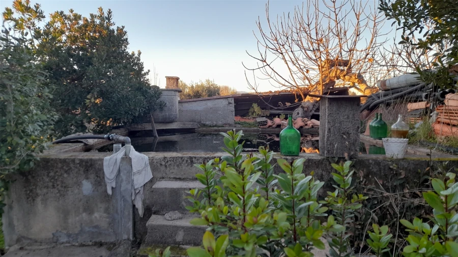 Quinta T0 para Venda em Escalos de Baixo e Mata Foto 15