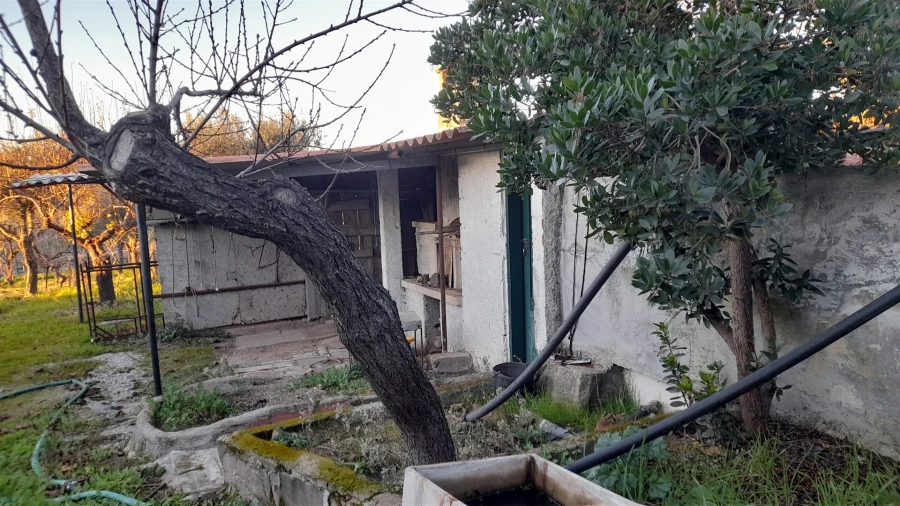 Quinta T0 para Venda em Escalos de Baixo e Mata Foto 13