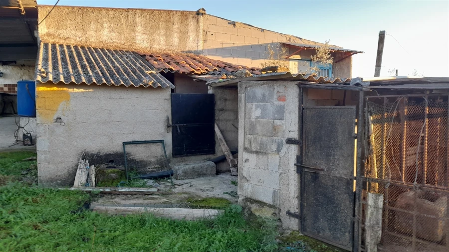 Quinta T0 para Venda em Escalos de Baixo e Mata Foto 7