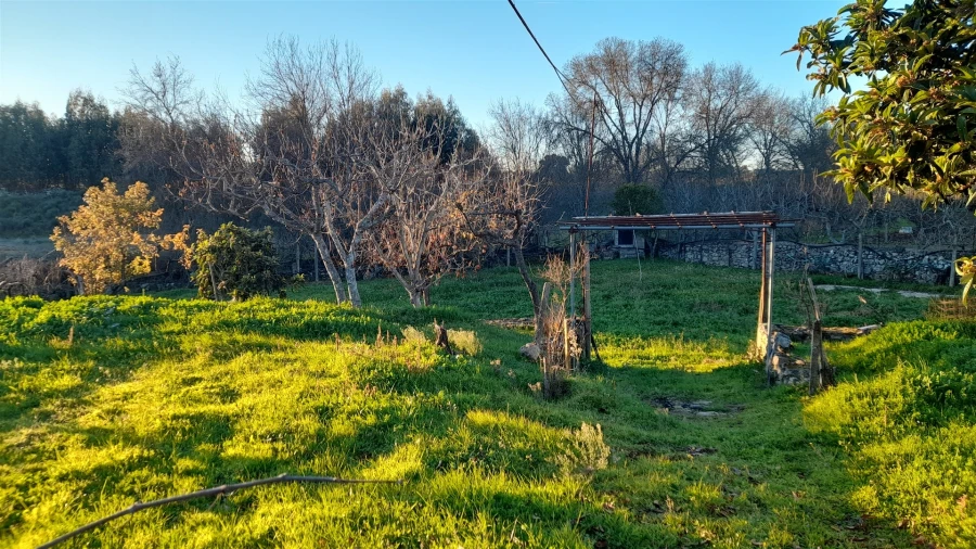Quinta T0 para Venda em Escalos de Baixo e Mata Foto 6
