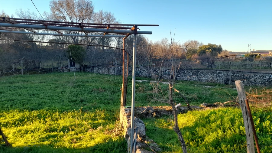 Quinta T0 para Venda em Escalos de Baixo e Mata Foto 2