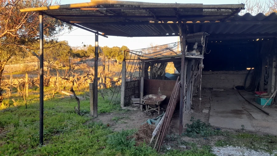 Quinta T0 para Venda em Escalos de Baixo e Mata Foto 11