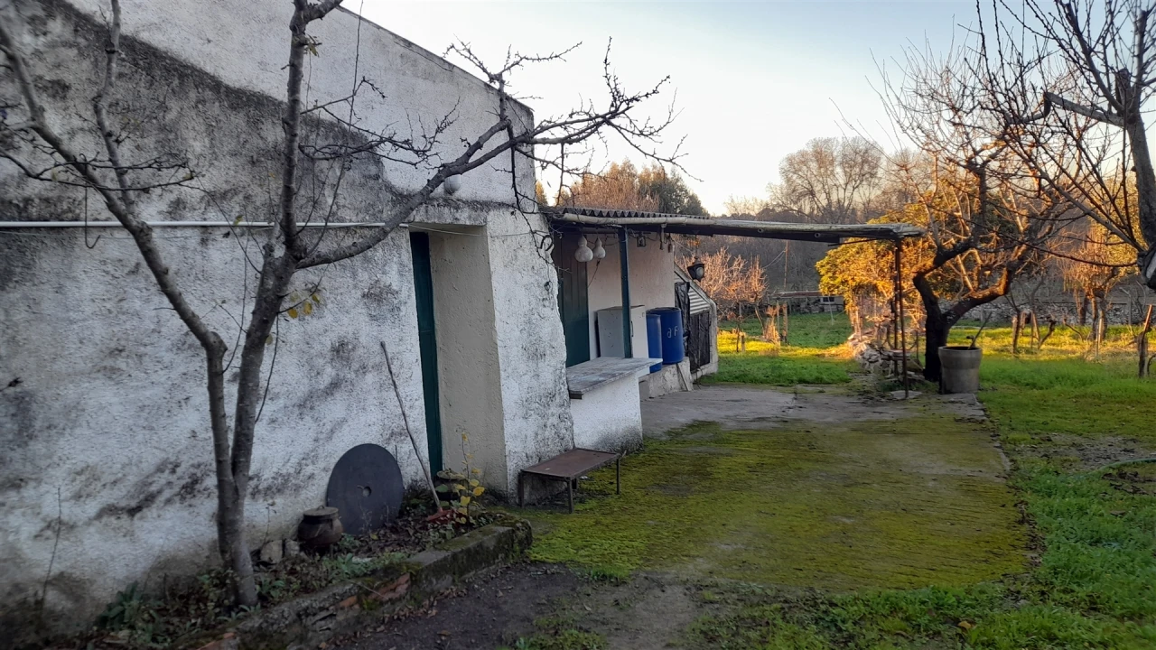 Quinta T0 para Venda em Escalos de Baixo e Mata Foto 14