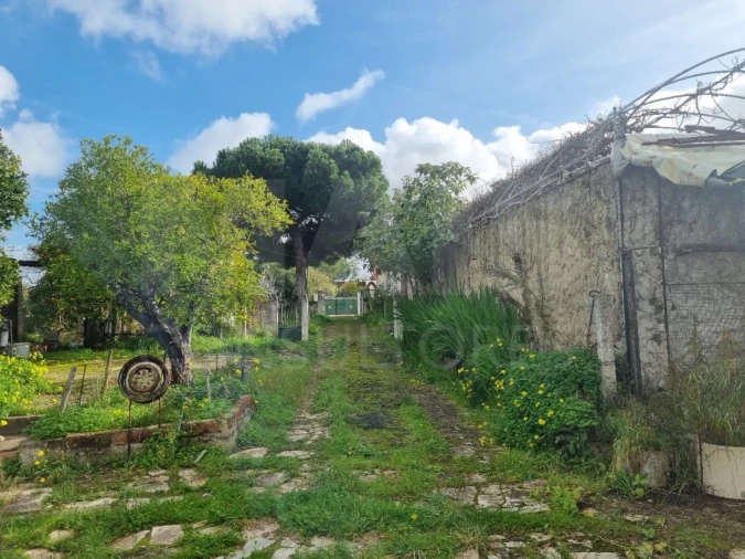 Moradia T4 para Venda em Alvega e Concavada Foto 3