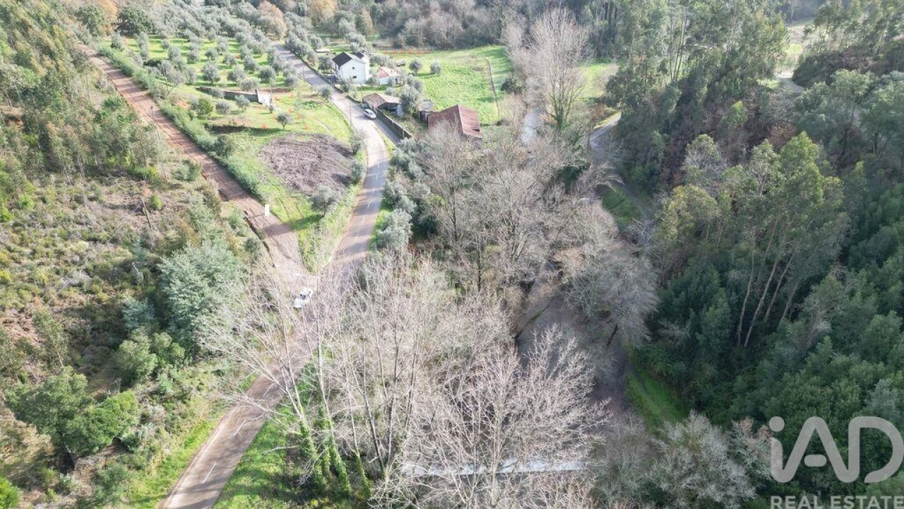 Terreno para Venda em Miranda do Corvo Foto 16