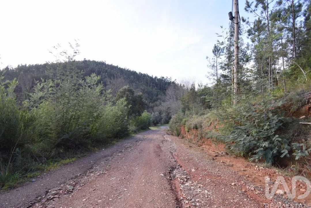 Terreno para Venda em Miranda do Corvo Foto 26