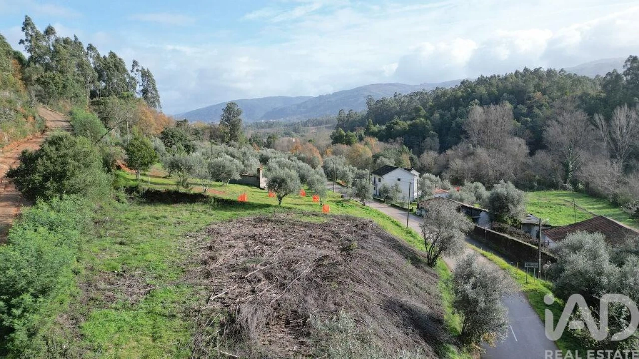 Terreno para Venda em Miranda do Corvo Foto 21