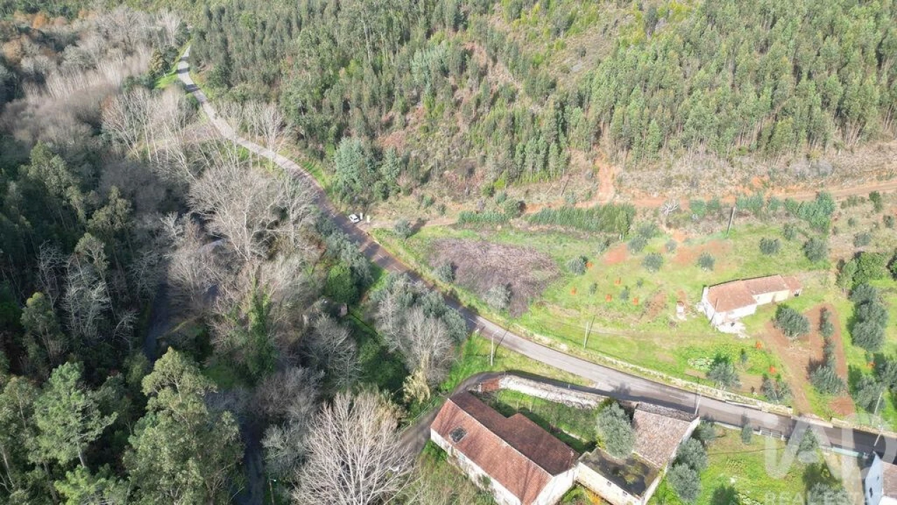 Terreno para Venda em Miranda do Corvo Foto 13